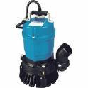 Rental store for SUBMERSIBLE PUMP 2 ELECTRIC in North Platte NE